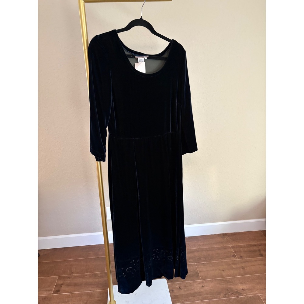 Isabella Bird Midi Dress NWOT Silk Blend Velvet Midi Dress Floral Burnout Hem 8
